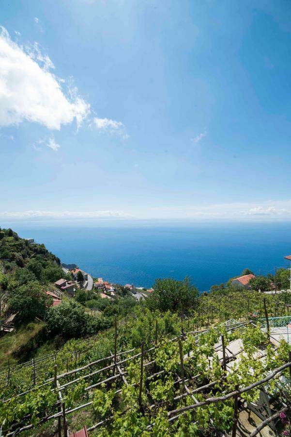 Residence Gioia Furore Bagian luar foto